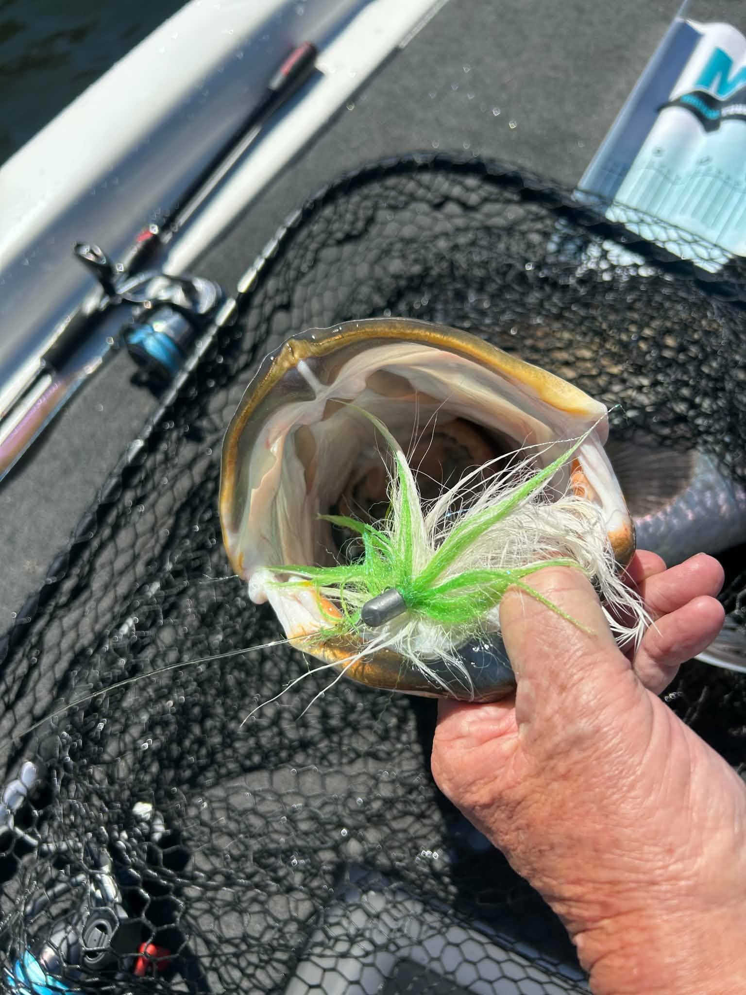 Australian fish caught on a Murlzys jig fly